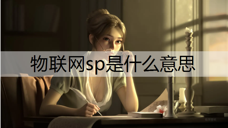 物联网sp是什么意思